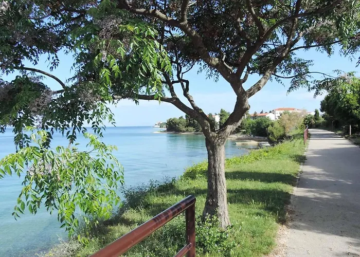 Mila Zadar