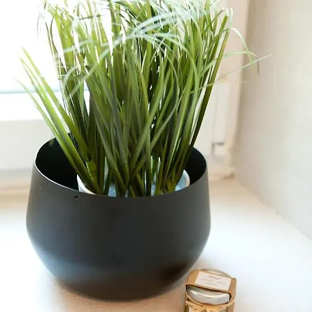 Mila Appartement Zadar